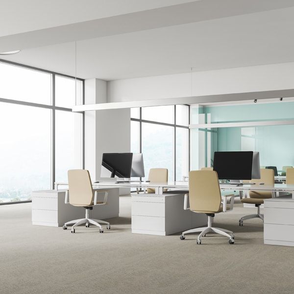 Steinbrenner Firmenumzüge